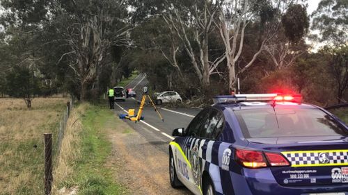 Emergency services at the scene in One Tree Hill Road. (9NEWS/Reece D'Alessandro)