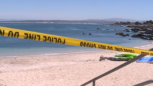 A swimmer has been attacked by a shark at Lovers Point Beach in Monterey Bay