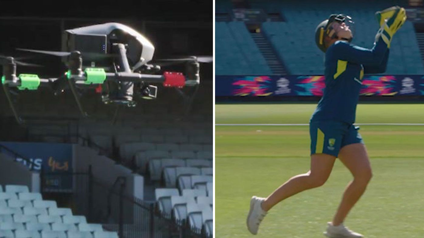 Alyssa Healy breaks world record for highest catch of a cricket ball