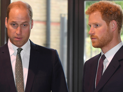 Prince William and Prince Harry.