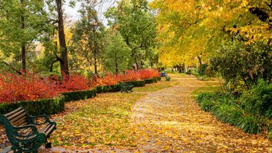 places to visit in victoria in autumn