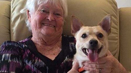 Happy ending for 75yo duped by dog nappers