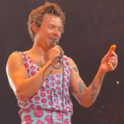 Harry Styles stops New York gig after concert-goer throws chicken nugget on stage.