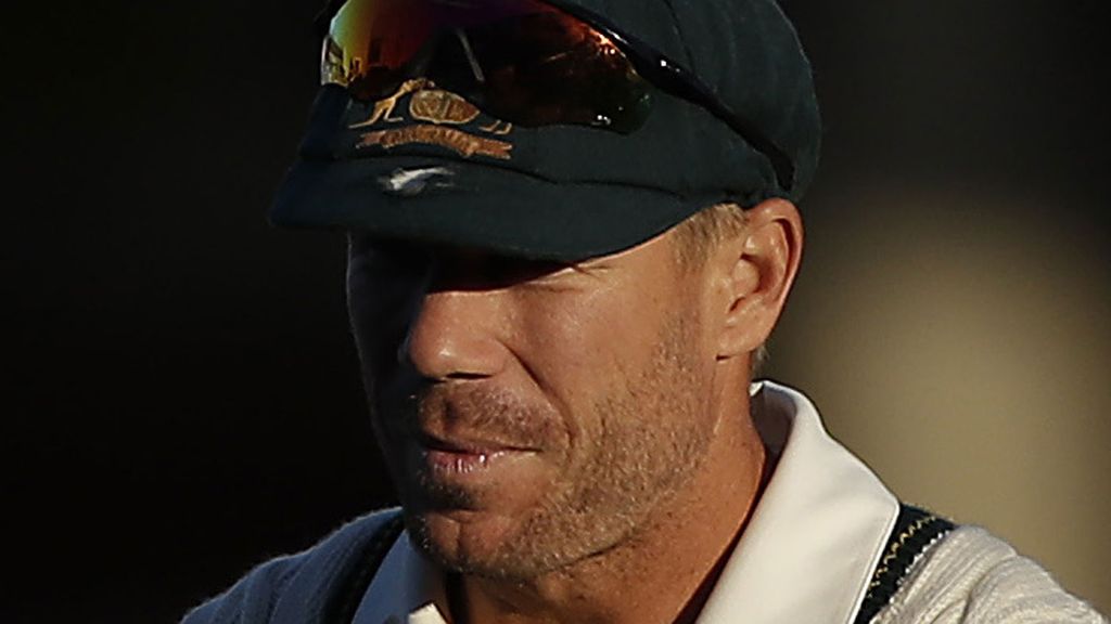 Calls for David Warner to be fined for swearing at umpire in