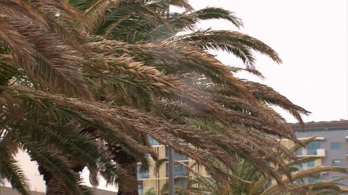 Damaging wind gusts are blasting southern parts of the state. Picture: 9NEWS