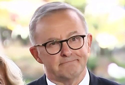 Anthony Albanese unable to recall unemployment rate (Nine)