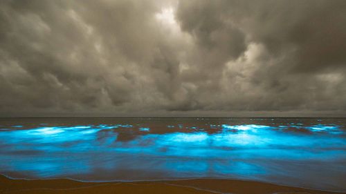 ‘Beautiful part of the world’: Photographer captures rare ‘sea sparkle’ phenomenon in Tasmania