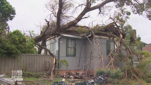 A families roof was flattened by a tree, which had fallen during the storm