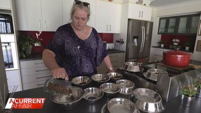 Karen Goullet preparing food for some of the dogs.