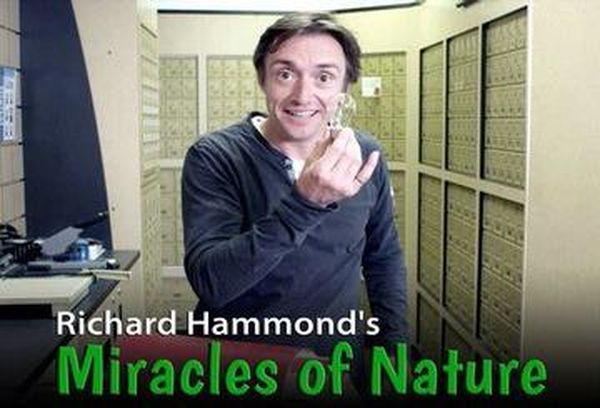 Richard Hammond's Miracles of Nature