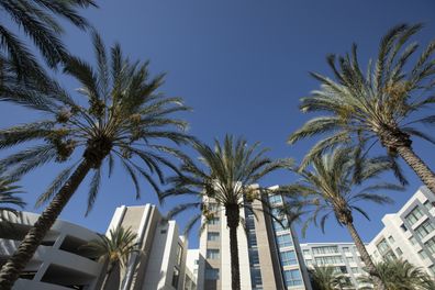 Daytime ground level view of the skyline of Anaheim, California, USA.