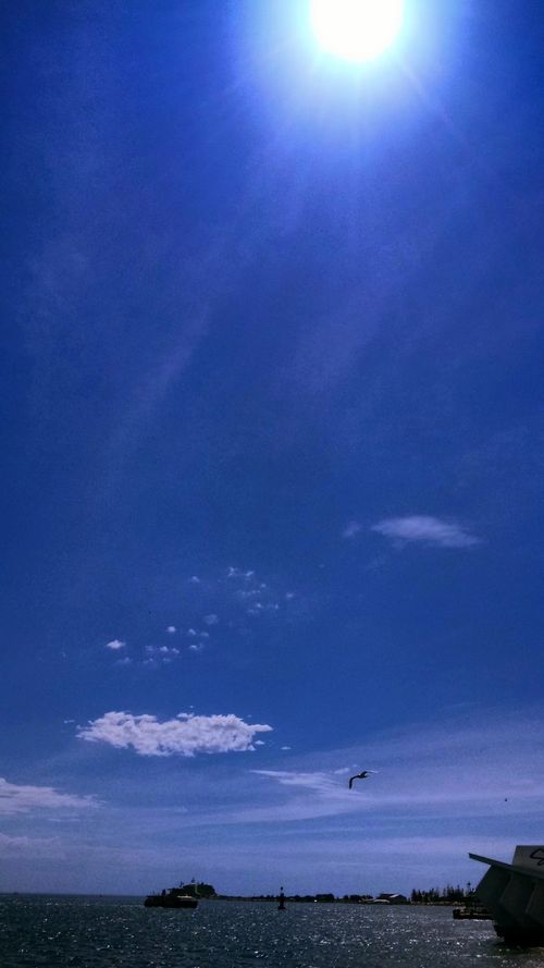 Newcastle locals are lapping up the warm weather at beaches today.
 (Tyson Cottrill)