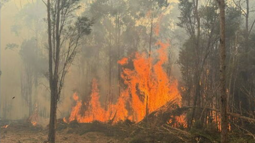 The Otways fire continues to burn through the landscape near Gellibrand.