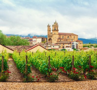 La Rioja Wine Country Vineyards.