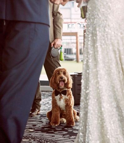 COVID wedding couple dog ring bearer