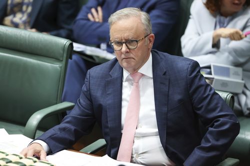 Prime Minister Anthony Albanese during Question Time at Parliament House in Canberra on Tuesday 29 July 2025. fedpol Photo: Alex Ellinghausen