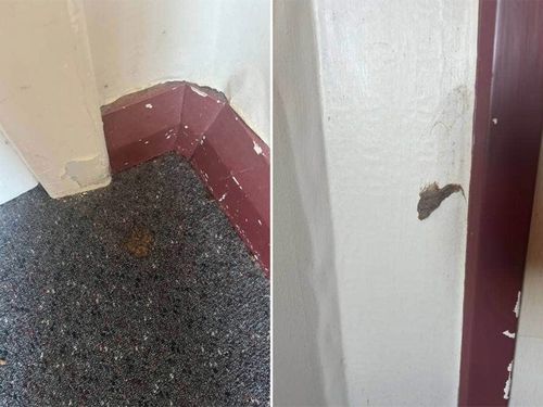 The left photo shows poo inside a room at Stafford Gables, and, right, a ball of hair pressed into a wall.