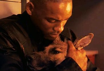 I Am Legend is set in which post-apocalyptic city?