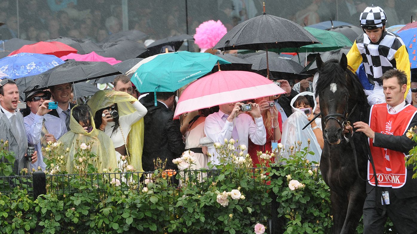 So You Think heads to the barriers in the rain ahead of the 2010 Melbourne Cup. 