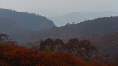 Light showers of rain creat a mist over the burnt out areas of the Blue Mountains looking out from the town of Blackheath.