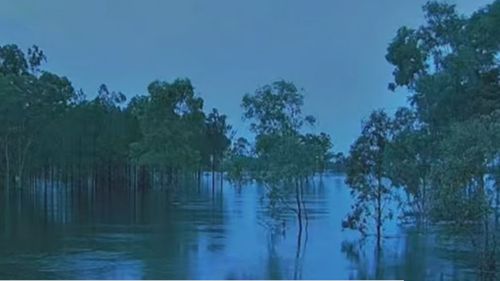 Parti dell'interno settentrionale sono state colpite da oltre 100 mm di pioggia in circa sei ore durante la notte.