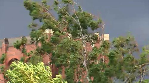 Wind battered parts of south-east Queensland. (9NEWS)