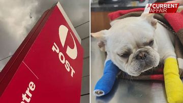 Happy ending for pup struck by Australia Post delivery driver