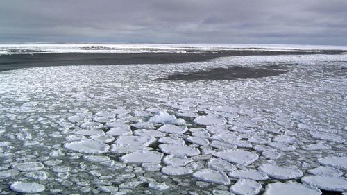 This January 2017 photo provided by Ted Scambos shows sea ice on the ocean surrounding Antarctica during an expedition to the Ross Sea. Ice in the ocean off the southern continent steadily increased from 1979 and hit a record high in 2014. But three years later, the annual average extent of Antarctic sea ice hit its lowest mark, wiping out three-and-a-half decades of gains, and then some, according to a study in the Proceedings of the National Academy of Sciences on Monday, July 1, 2019.