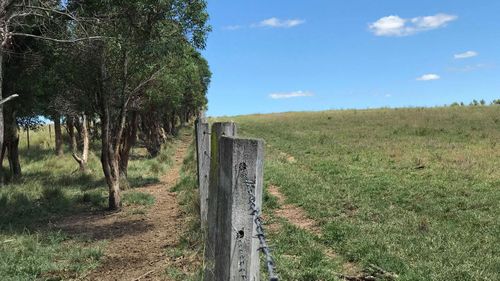 Early signs of the drought in this 2017 photo from the Hendersons' property.