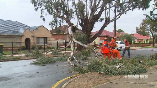 The SES responded to more than 130 calls for help. 