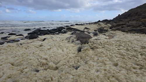 A multi-agency investigation is underway after masses of yellow foam washed up on a popular South Australian beach, leaving surfers feeling sick and infected. ﻿