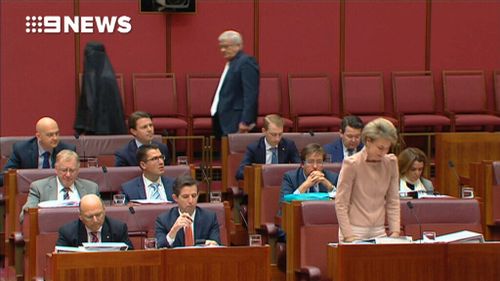 Pauline Hanson is seen in the Senate wearing  a burqa.