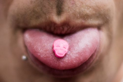 NSW Police say they are dissapointed at the number of pills being brought into the festival. (AAP)