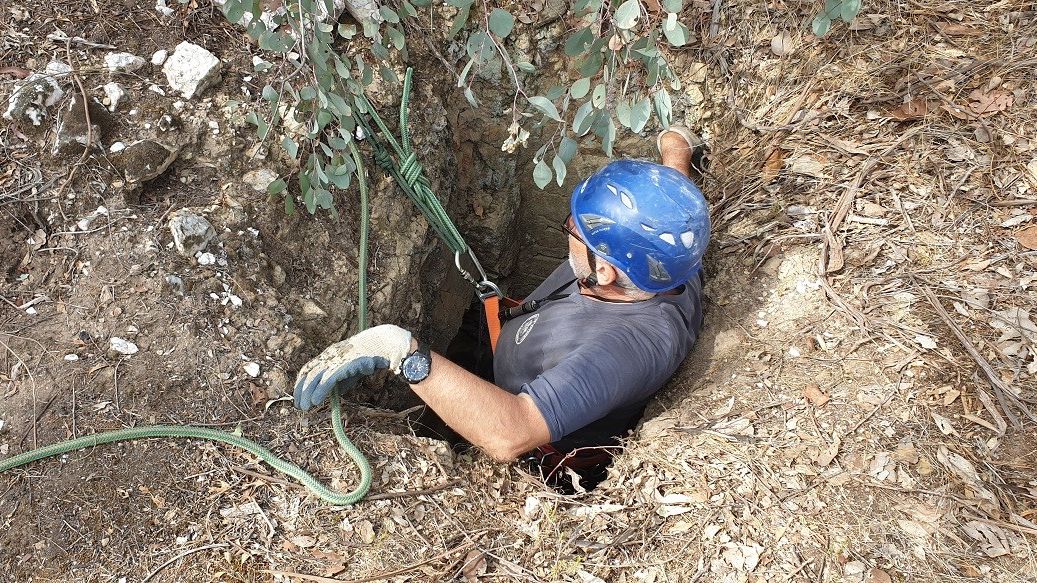 Kangaroo rescued from abandoned mine shaft in Victoria - 9News
