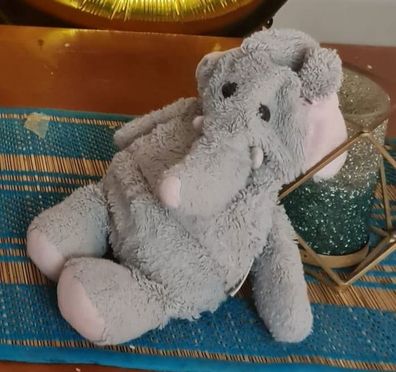 The mum says her son is obsessed with the Elephant.