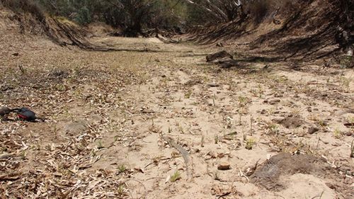 One boomerang can be seen in a dry section of the main channel of Cooper Creek bed. Photograph courtesy of the Yandruwandha Yawarrawarrka Traditional Land Owners Aboriginal Corporation.