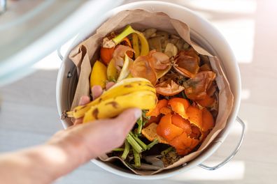 bananas in compost