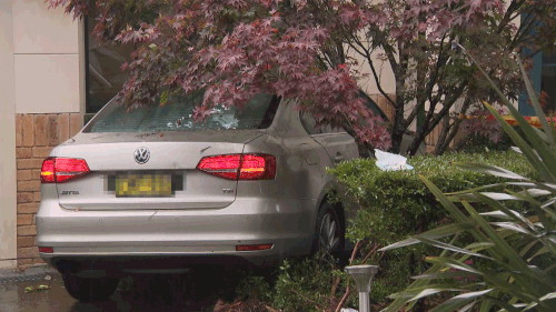 Woman standing in her garden hit by car Sydney