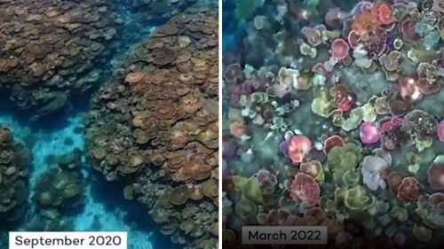 Video captured of the John Brewer Reef in 2020 and 2022 shows how much the reef has changed. 