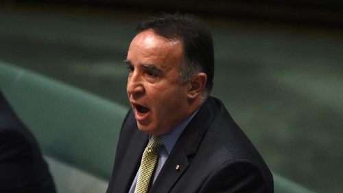 Liberal MP says those who expect a vote on marriage equality have 'rocks in their head' as cross-party bill gains support