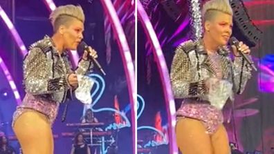 Pink was tossed a bag of ashes at a concert.