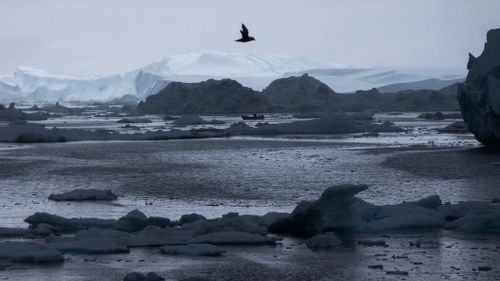 Arctic experiences hottest year on record, causing massive melting of ice, US government scientists say