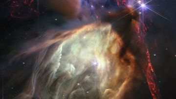 Remarkable shot of closest-star-forming region to Earth