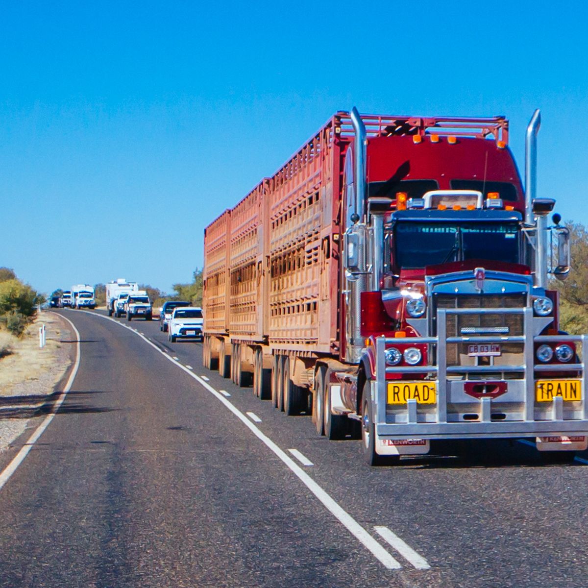 Absolute crisis' facing trucking industry with hundreds of companies going  bust in 2022