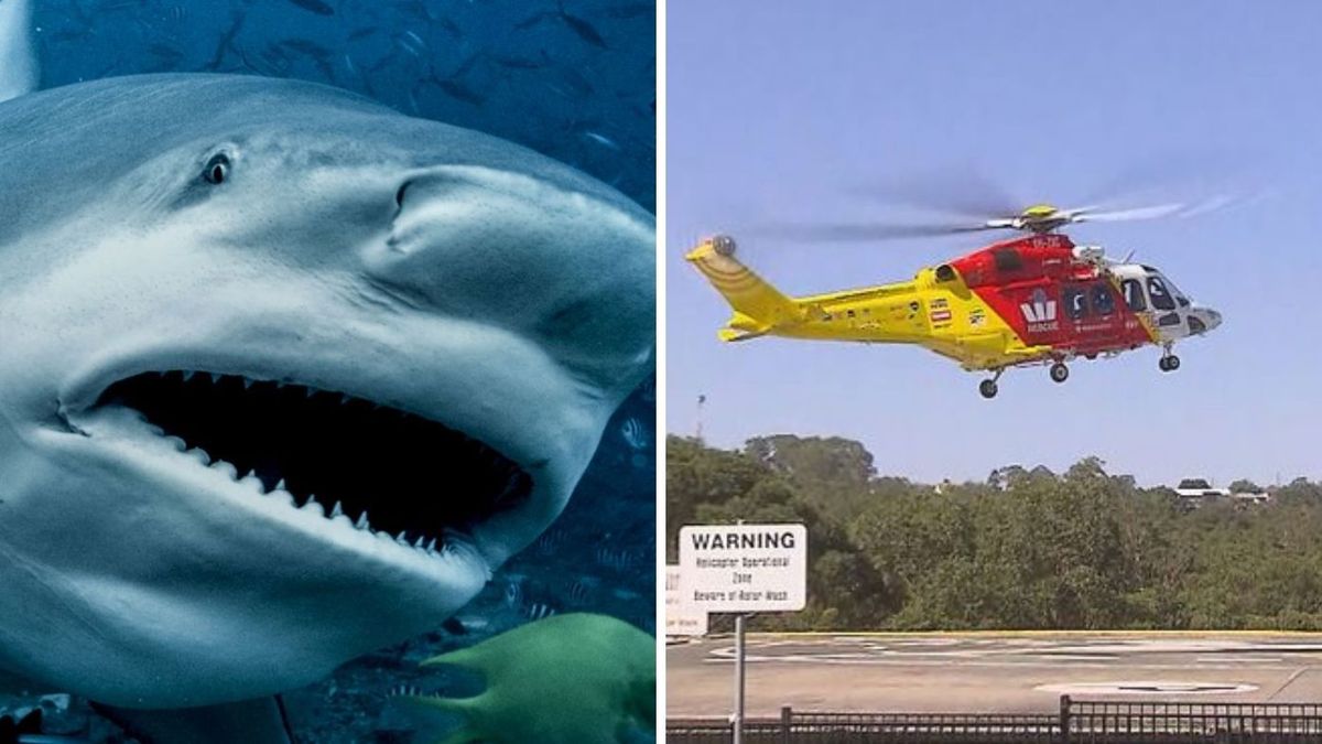 Crowdy Bay shark attack update: Couple were filming dolphins on GoPro  moments before deadly shark attack