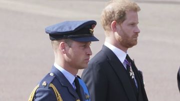 Prince Harry and Prince Andrew to miss state event ahead of Queen&#x27;s funeral