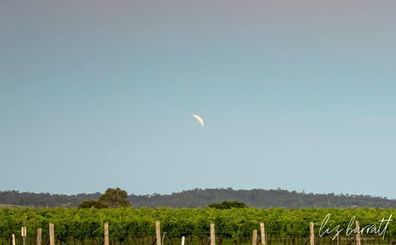Liz Barratt sent in this photo of the partial lunar eclipse over Moffatdale, Queensland