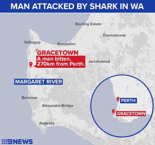 Mr Travaglini was attacked in Gracetown, WA. (9NEWS)