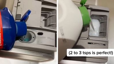 Dishwasher TikTok hacks tips cleaning