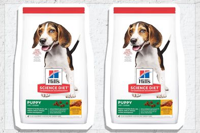 9PR: Hill's Science Diet Puppy Medium Breed Chicken Meal and Barley Dry Dog Food, 12kg